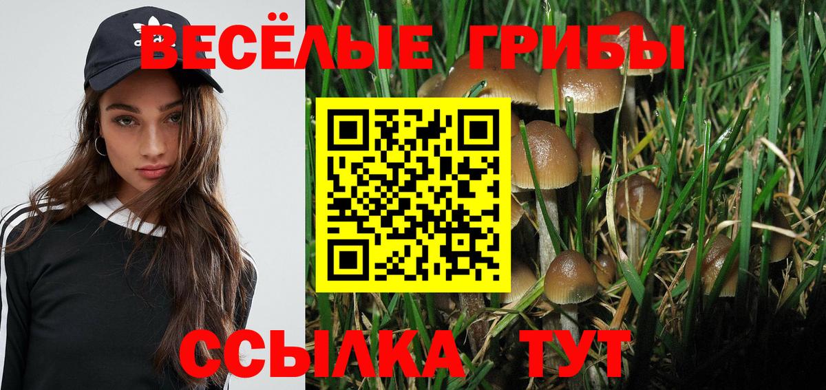 Псилоцибиновые грибы мицелий  цена   Петрозаводск  Вход с VPN  Псилоцибиновые грибы прущие грибы 
