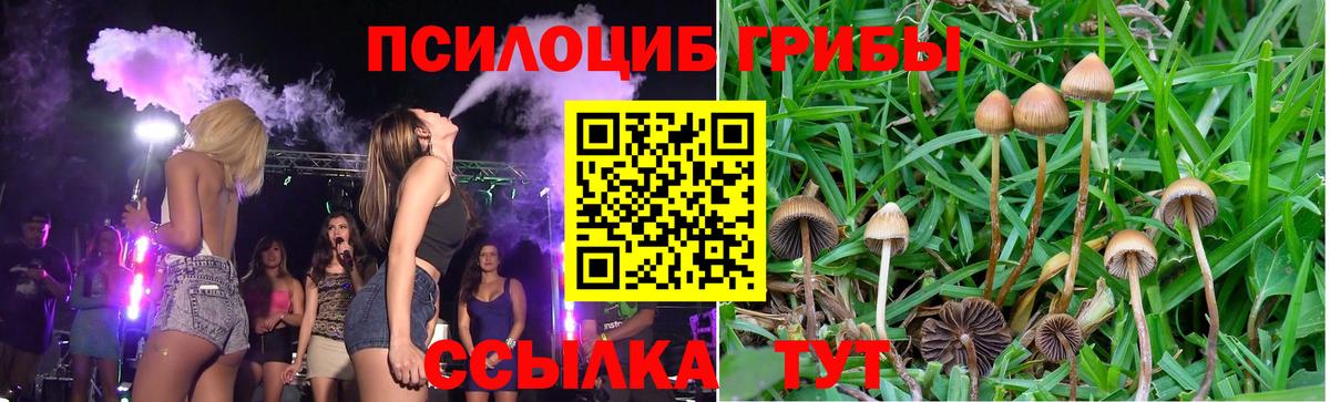 NBOMe  МАРИХУАНА  A PVP СОЛЬ кристаллы  ГАШ  ЭКСТАЗИ  Петрозаводск  Меф кристаллы  Вход с VPN 