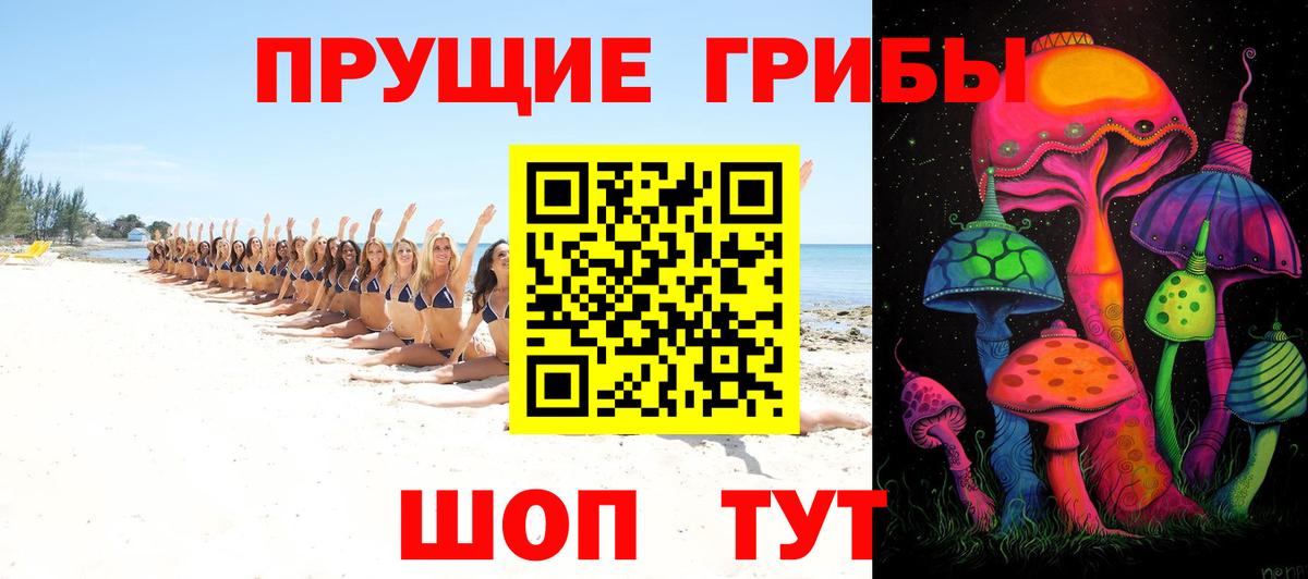 Псилоцибиновые грибы Cubensis Петрозаводск
